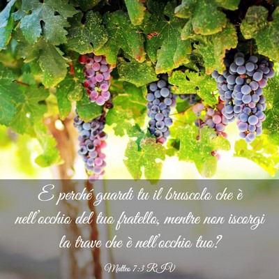 Picture 03 - Matteo 7:3 RIV - E perché guardi tu il bruscolo che è - Bible Verse Picture