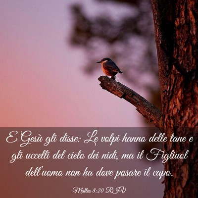 Picture 03 - Matteo 8:20 RIV - E Gesù gli disse: Le volpi hanno delle tane e - Bible Verse Picture