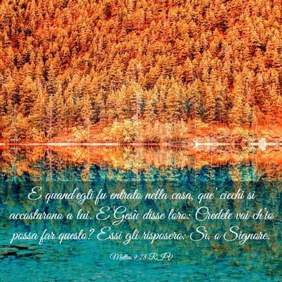 Picture 03 - Matteo 9:28 RIV - E quand’egli fu entrato nella casa, que’ - Bible Verse Picture