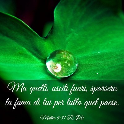 Picture 03 - Matteo 9:31 RIV - Ma quelli, usciti fuori, sparsero la fama di lui - Bible Verse Picture