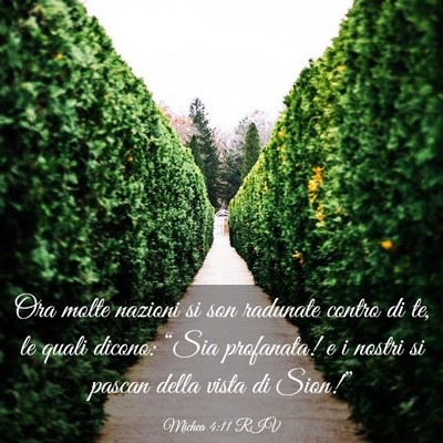 Picture 03 - Michea 4:11 RIV - Ora molte nazioni si son radunate contro di te, - Bible Verse Picture