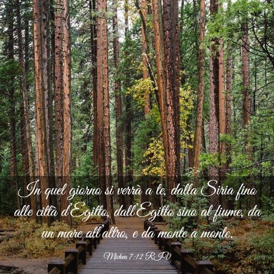 Picture 03 - Michea 7:12 RIV - In quel giorno si verrà a te, dalla Siria fino - Bible Verse Picture