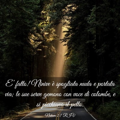 Picture 03 - Nahum 2:7 RIV - E’ fatto! Ninive è spogliata nuda e portata - Bible Verse Picture