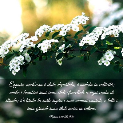 Picture 03 - Nahum 3:10 RIV - Eppure, anch’essa è stata deportata, è andata - Bible Verse Picture