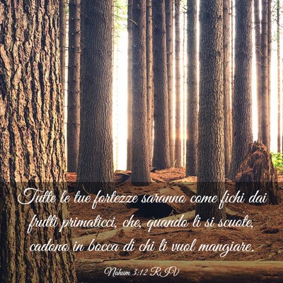 Picture 03 - Nahum 3:12 RIV - Tutte le tue fortezze saranno come fichi dai - Bible Verse Picture