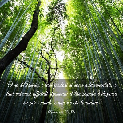 Picture 03 - Nahum 3:18 RIV - O re d’Assiria, i tuoi pastori si sono - Bible Verse Picture
