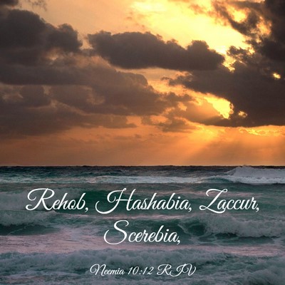 Picture 03 - Neemia 10:12 RIV - Rehob, Hashabia, Zaccur, - Bible Verse Picture