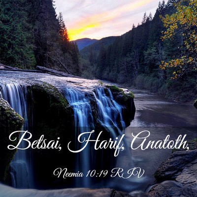 Picture 03 - Neemia 10:19 RIV - Betsai, Harif, - Bible Verse Picture