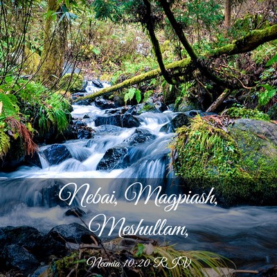 Picture 03 - Neemia 10:20 RIV - Nebai, Magpiash, - Bible Verse Picture