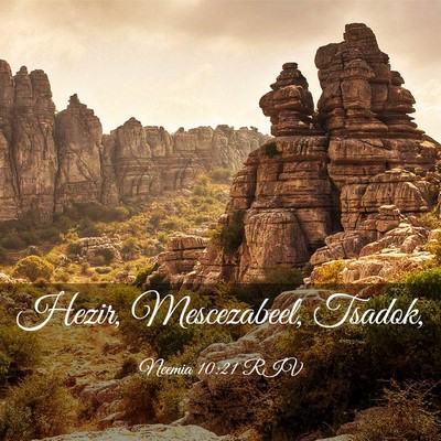 Picture 03 - Neemia 10:21 RIV - Hezir, Mescezabeel, - Bible Verse Picture