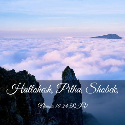Picture 03 - Neemia 10:24 RIV - Hallohesh, Pilha, - Bible Verse Picture