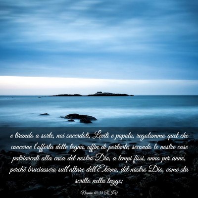 Picture 03 - Neemia 10:34 RIV - e tirando a sorte, noi sacerdoti, Leviti e - Bible Verse Picture