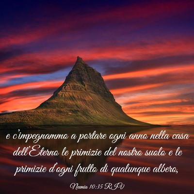 Picture 03 - Neemia 10:35 RIV - e c’impegnammo a portare ogni anno nella casa - Bible Verse Picture