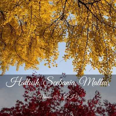 Picture 03 - Neemia 10:4 RIV - Hattush, Scebania, - Bible Verse Picture