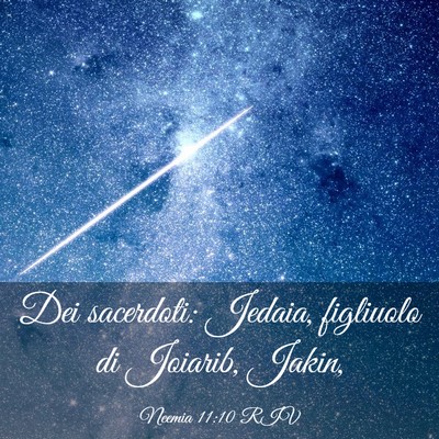 Picture 03 - Neemia 11:10 RIV - Dei sacerdoti: Jedaia, figliuolo di Joiarib, - Bible Verse Picture
