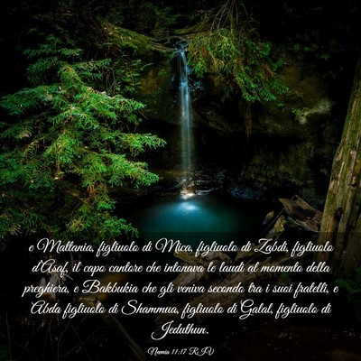Picture 03 - Neemia 11:17 RIV - e Mattania, figliuolo di Mica, figliuolo di - Bible Verse Picture
