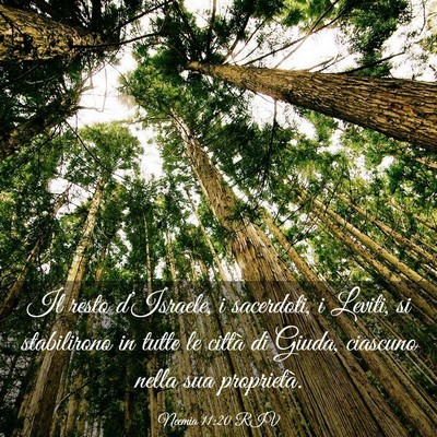 Picture 03 - Neemia 11:20 RIV - Il resto d’Israele, i sacerdoti, i Leviti, si - Bible Verse Picture