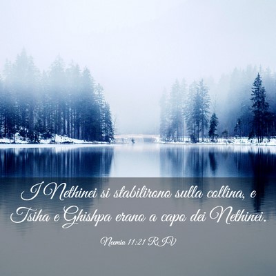 Picture 03 - Neemia 11:21 RIV - I Nethinei si stabilirono sulla collina, e Tsiha - Bible Verse Picture
