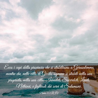 Picture 03 - Neemia 11:3 RIV - Ecco i capi della provincia che si stabilirono a - Bible Verse Picture