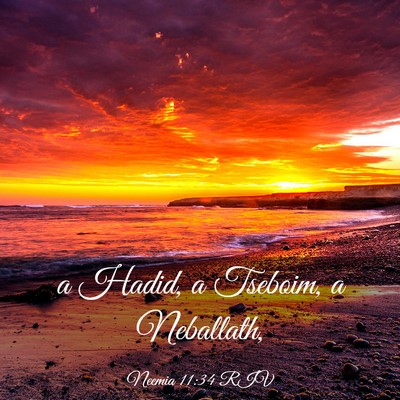 Picture 03 - Neemia 11:34 RIV - a Hadid, a Tseboim, a - Bible Verse Picture