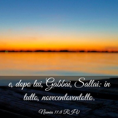 Picture 03 - Neemia 11:8 RIV - e, dopo lui, Gabbai, Sallai: in tutto, - Bible Verse Picture