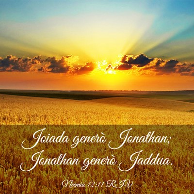 Picture 03 - Neemia 12:11 RIV - Joiada generò Jonathan; Jonathan generò - Bible Verse Picture