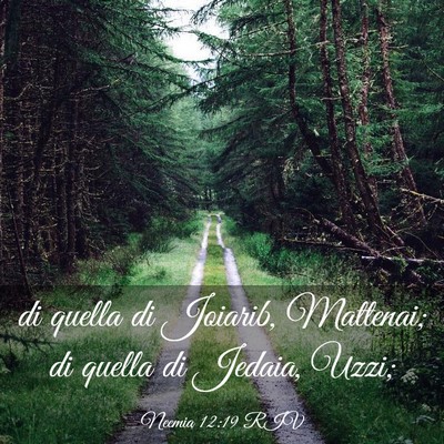 Picture 03 - Neemia 12:19 RIV - di quella di Joiarib, Mattenai; di quella di - Bible Verse Picture