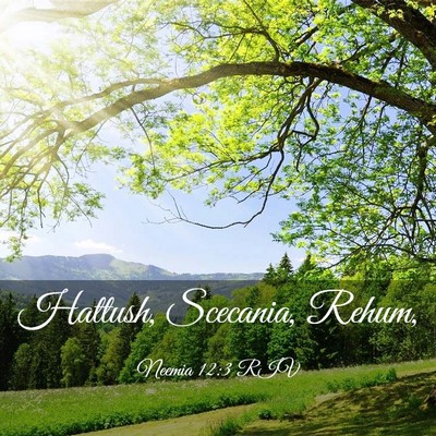 Picture 03 - Neemia 12:3 RIV - Hattush, Scecania, - Bible Verse Picture