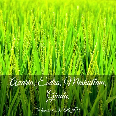 Picture 03 - Neemia 12:33 RIV - Azaria, Esdra, Meshullam, - Bible Verse Picture