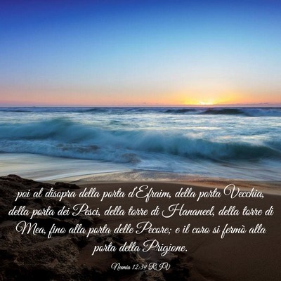 Picture 03 - Neemia 12:39 RIV - poi al disopra della porta d’Efraim, della - Bible Verse Picture