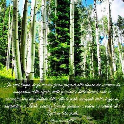 Picture 03 - Neemia 12:44 RIV - In quel tempo, degli uomini furon preposti alle - Bible Verse Picture