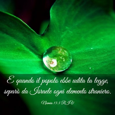 Picture 03 - Neemia 13:3 RIV - E quando il popolo ebbe udita la legge, separò - Bible Verse Picture