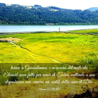 Picture 03 - Neemia 13:7 RIV - tornai a Gerusalemme, e m’accorsi del male che - Bible Verse Picture