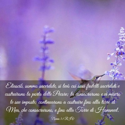 Picture 03 - Neemia 3:1 RIV - Eliascib, sommo sacerdote, si levò coi suoi - Bible Verse Picture