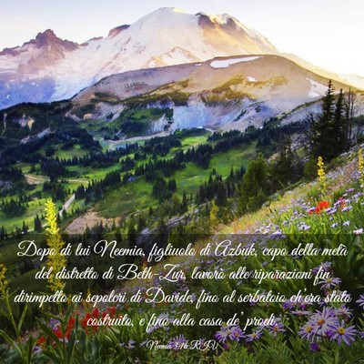 Picture 03 - Neemia 3:16 RIV - Dopo di lui Neemia, figliuolo di Azbuk, capo - Bible Verse Picture