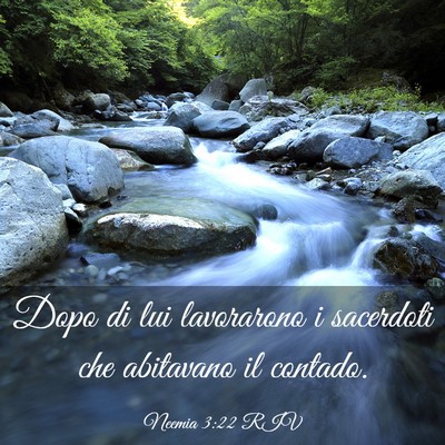 Picture 03 - Neemia 3:22 RIV - Dopo di lui lavorarono i sacerdoti che abitavano - Bible Verse Picture