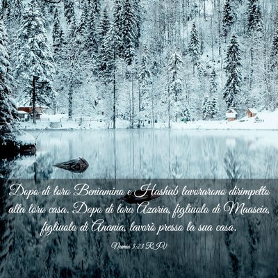 Picture 03 - Neemia 3:23 RIV - Dopo di loro Beniamino e Hashub lavorarono - Bible Verse Picture