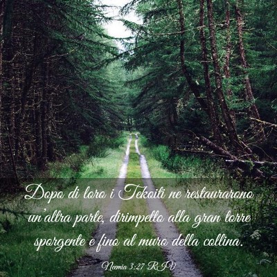 Picture 03 - Neemia 3:27 RIV - Dopo di loro i Tekoiti ne restaurarono un’altra - Bible Verse Picture