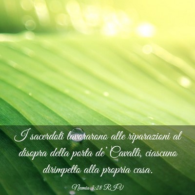 Picture 03 - Neemia 3:28 RIV - I sacerdoti lavorarono alle riparazioni al - Bible Verse Picture