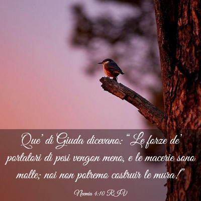 Picture 03 - Neemia 4:10 RIV - Que’ di Giuda dicevano: “Le forze de’ - Bible Verse Picture