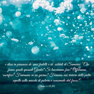 Picture 03 - Neemia 4:2 RIV - e disse in presenza de’ suoi fratelli e de’ - Bible Verse Picture