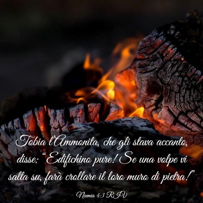 Picture 03 - Neemia 4:3 RIV - Tobia l’Ammonita, che gli stava accanto, disse: - Bible Verse Picture