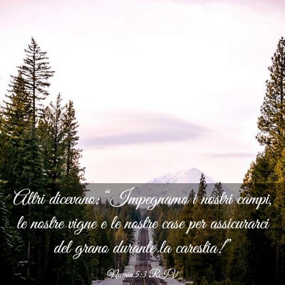 Picture 03 - Neemia 5:3 RIV - Altri dicevano: “Impegnamo i nostri campi, le - Bible Verse Picture