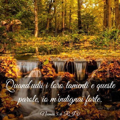 Picture 03 - Neemia 5:6 RIV - Quand’udii i loro lamenti e queste parole, io - Bible Verse Picture
