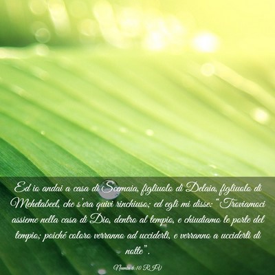 Picture 03 - Neemia 6:10 RIV - Ed io andai a casa di Scemaia, figliuolo di - Bible Verse Picture