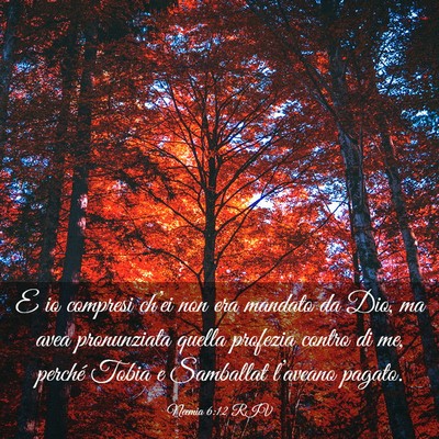 Picture 03 - Neemia 6:12 RIV - E io compresi ch’ei non era mandato da Dio, ma - Bible Verse Picture