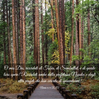 Picture 03 - Neemia 6:14 RIV - O mio Dio, ricordati di Tobia, di Samballat, e di - Bible Verse Picture