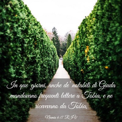 Picture 03 - Neemia 6:17 RIV - In que’ giorni, anche de’ notabili di Giuda - Bible Verse Picture