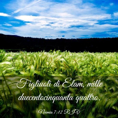 Picture 03 - Neemia 7:12 RIV - Figliuoli di Elam, mille duecentocinquanta - Bible Verse Picture