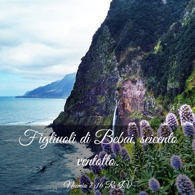 Picture 03 - Neemia 7:16 RIV - Figliuoli di Bebai, seicento - Bible Verse Picture